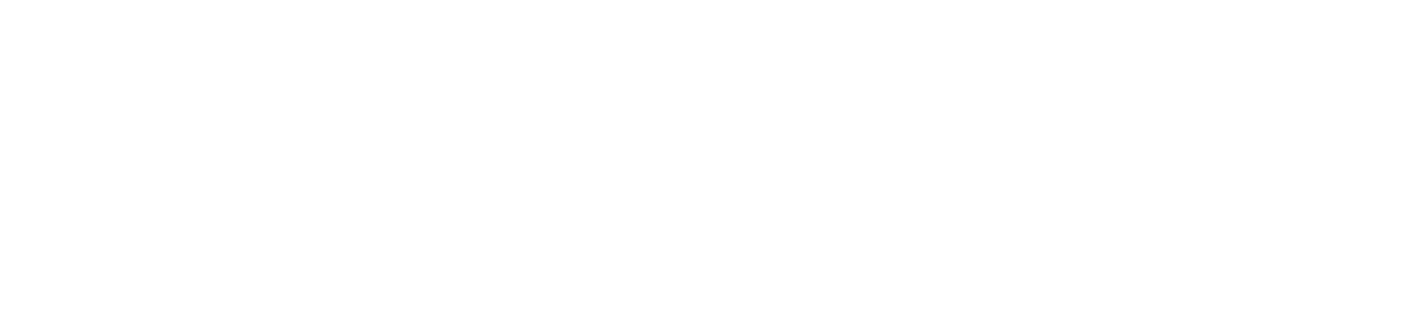 vector solutions